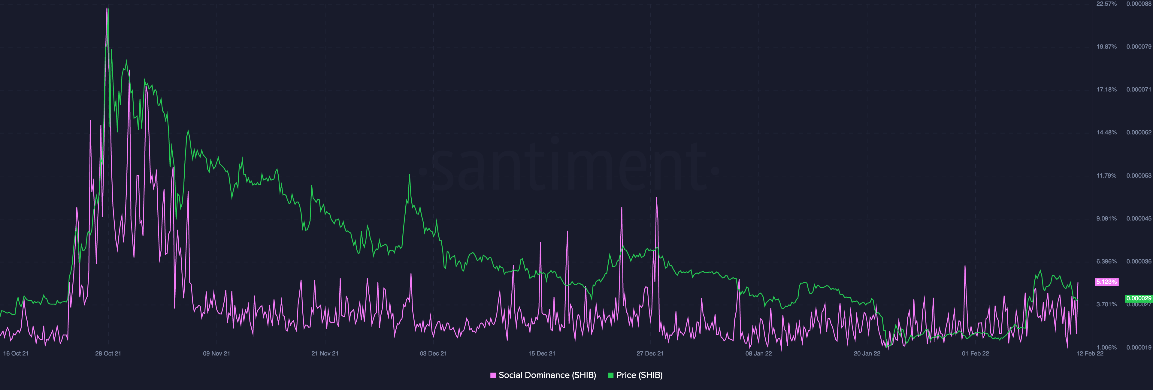 L'ancien favori du public SHIB peut-il retrouver son ancienne gloire 3