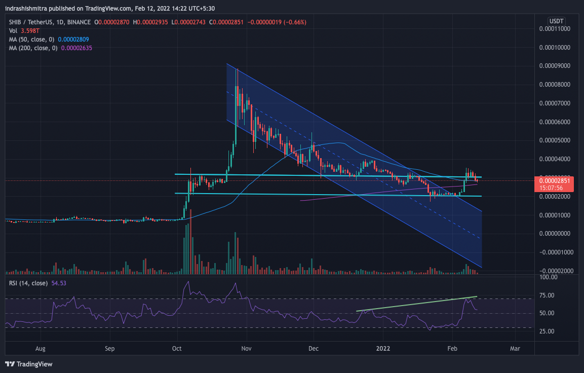 L'ancien favori du public SHIB peut-il retrouver son ancienne gloire 1