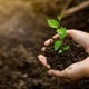 Votre Corps Devrait Être Composté À Votre Mort 1 Image for article titled You Should Have Your Body Composted When You Die