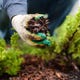 Comment Empêcher Votre Paillis De S'Envoler 1 Image for article titled How to Stop Your Mulch From Blowing Away