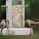 Pourquoi Vous Devez Ranger Vos Mangeoires Et Bains D'Oiseaux Dès Maintenant 1 Image for article titled Why You Need to Put Away Your Bird Feeders and Baths Right Now
