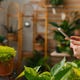 Guide Du Débutant Sur L'Utilisation D'Applications Et De Gadgets Pour Cultiver Des Plantes Plus Saines 1 Image for article titled A Beginner's Guide to Using Apps and Gadgets for Growing Healthier Plants