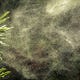 Pourquoi La Saison Des Allergies S'Allonge 1 Image for article titled Why Allergy Season Is Getting Longer