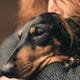 Pourquoi Votre Chien Sent Pire Que Ses Amis 1 Image for article titled Why Your Dog Smells Worse Than Their Friends