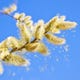 Les Lingettes Anti-Allergiques Pour Le Visage Ne Sont Pas Ce Que Vous Pensez Qu'Elles Sont 1 Achoo!