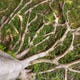 Que Faire (Et Quoi Ne Pas Faire) Avec Des Racines D'Arbres Visibles Dans Votre Pelouse 1 Image for article titled What to Do (and What Not to Do) With Visible Tree Roots in Your Lawn